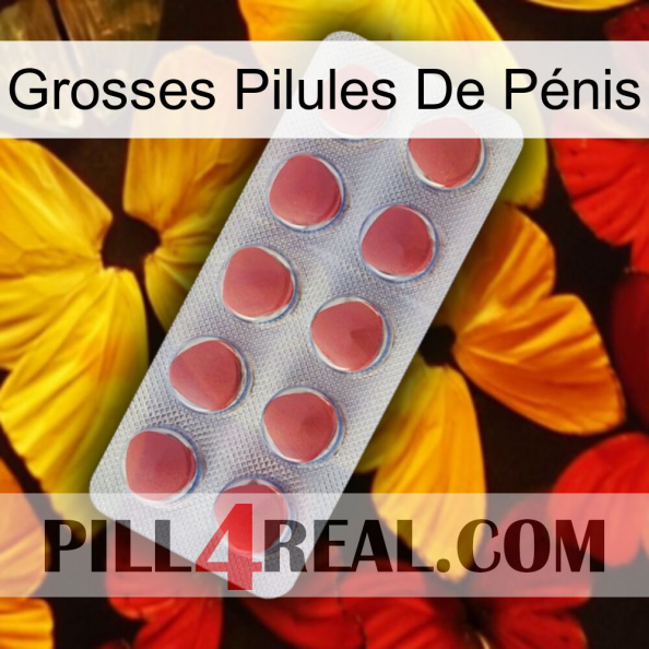 Grosses Pilules De Pénis 18